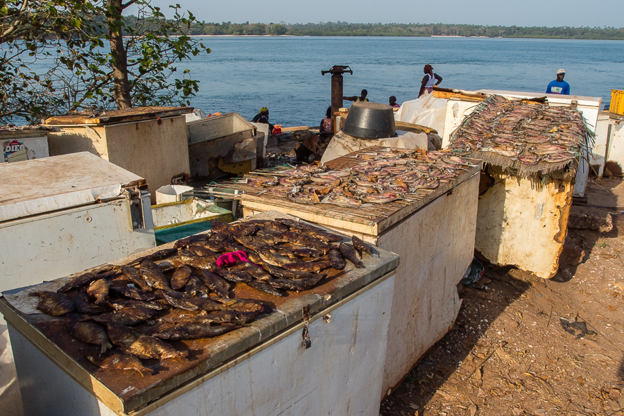 Kliknij obrazek, aby uzyskać większą wersję

Nazwa:	PC211668.JPG
Wyświetleń:	266
Rozmiar:	712,3 KB
ID:	165176