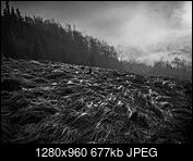 Kliknij obrazek, aby uzyskać większą wersję

Nazwa:	PB170150.jpg
Wyświetleń:	156
Rozmiar:	676,9 KB
ID:	165196