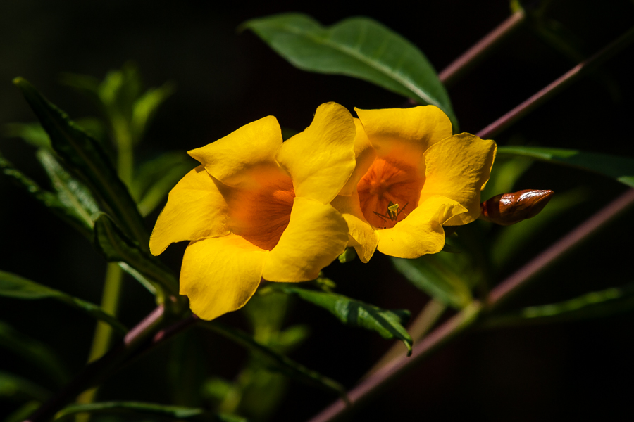 Kliknij obrazek, aby uzyskać większą wersję

Nazwa:	PC217616.JPG
Wyświetleń:	225
Rozmiar:	322,1 KB
ID:	165216