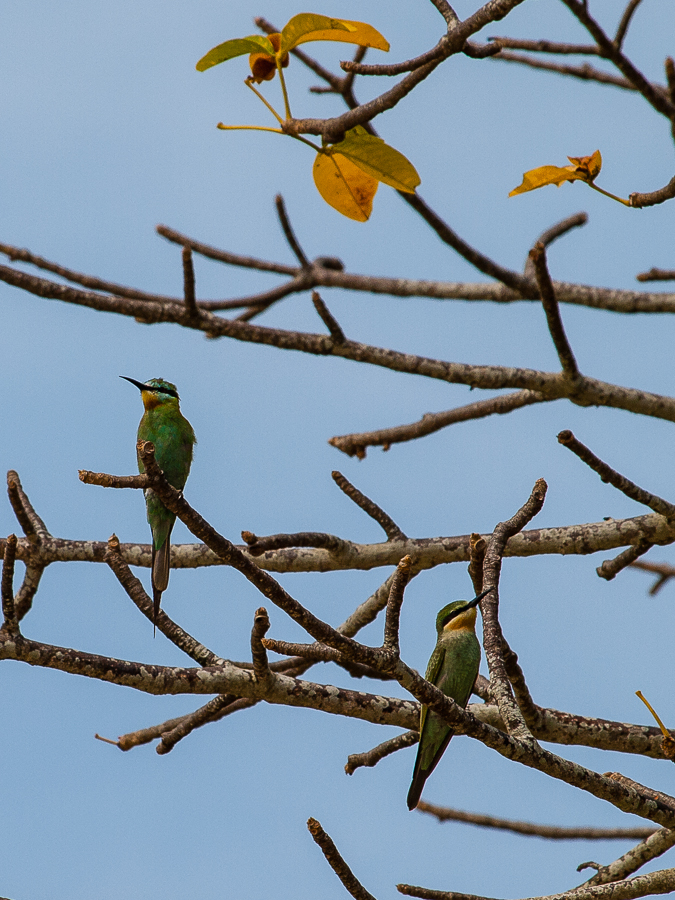 Kliknij obrazek, aby uzyskać większą wersję

Nazwa:	PC217630.JPG
Wyświetleń:	225
Rozmiar:	553,3 KB
ID:	165218