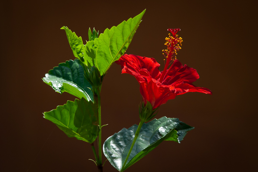 Kliknij obrazek, aby uzyskać większą wersję

Nazwa:	PC217653.JPG
Wyświetleń:	224
Rozmiar:	325,9 KB
ID:	165220