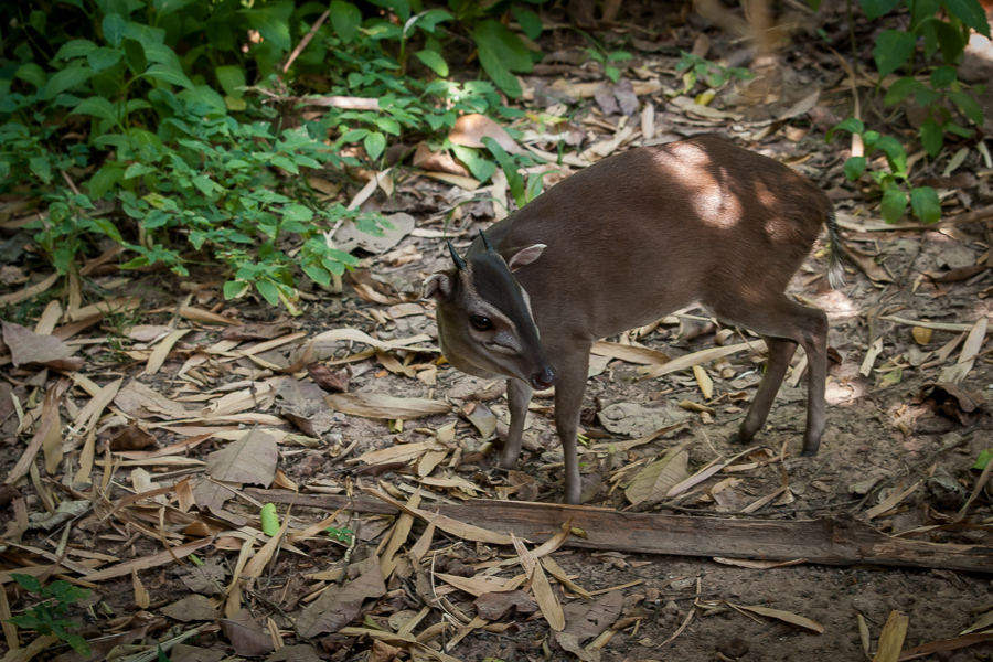 Kliknij obrazek, aby uzyskać większą wersję

Nazwa:	PC217673.JPG
Wyświetleń:	215
Rozmiar:	585,3 KB
ID:	165221
