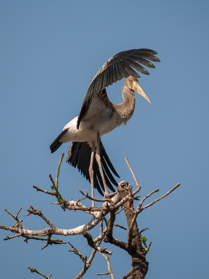 Kliknij obrazek, aby uzyskać większą wersję

Nazwa:	PC227690.JPG
Wyświetleń:	232
Rozmiar:	398,6 KB
ID:	165223