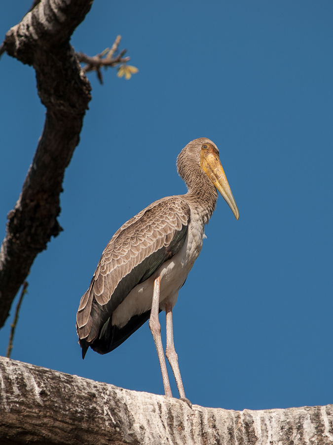 Kliknij obrazek, aby uzyskać większą wersję

Nazwa:	PC227704.JPG
Wyświetleń:	216
Rozmiar:	406,8 KB
ID:	165224