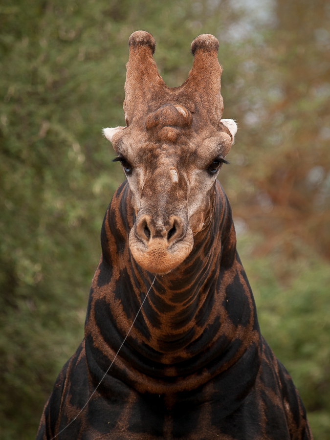 Kliknij obrazek, aby uzyskać większą wersję

Nazwa:	PC298583.JPG
Wyświetleń:	505
Rozmiar:	452,9 KB
ID:	165268