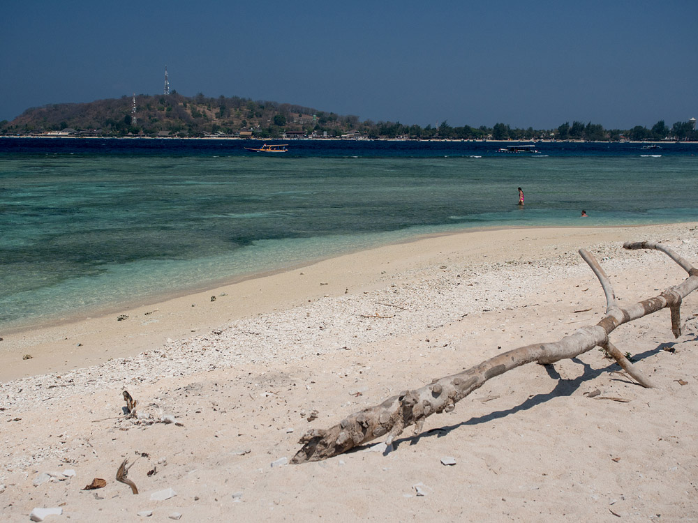 Kliknij obrazek, aby uzyskać większą wersję

Nazwa:	PA081310min.jpg
Wyświetleń:	175
Rozmiar:	243,1 KB
ID:	165271