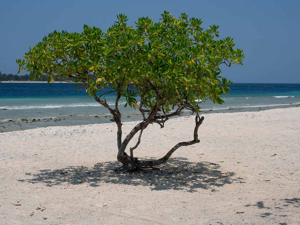 Kliknij obrazek, aby uzyskać większą wersję

Nazwa:	PA081318min.jpg
Wyświetleń:	180
Rozmiar:	342,3 KB
ID:	165272