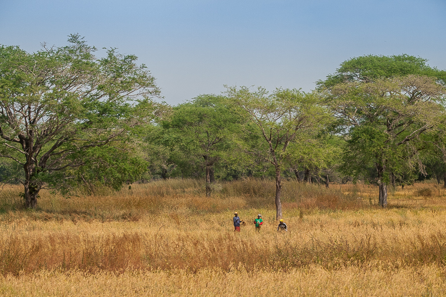Kliknij obrazek, aby uzyskać większą wersję

Nazwa:	PC197363.JPG
Wyświetleń:	361
Rozmiar:	739,7 KB
ID:	165308