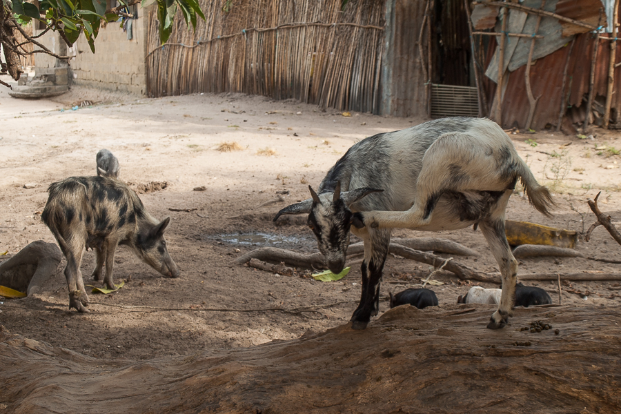 Kliknij obrazek, aby uzyskać większą wersję

Nazwa:	PC232970.JPG
Wyświetleń:	456
Rozmiar:	565,7 KB
ID:	165310