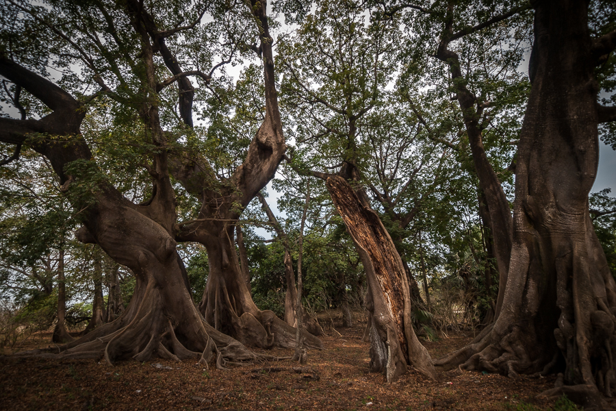 Kliknij obrazek, aby uzyskać większą wersję

Nazwa:	PC237729.JPG
Wyświetleń:	402
Rozmiar:	723,5 KB
ID:	165314