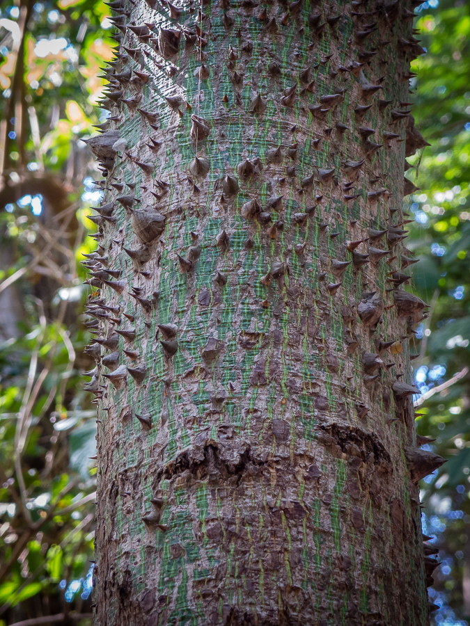 Kliknij obrazek, aby uzyskać większą wersję

Nazwa:	P1012393.JPG
Wyświetleń:	477
Rozmiar:	792,6 KB
ID:	165339