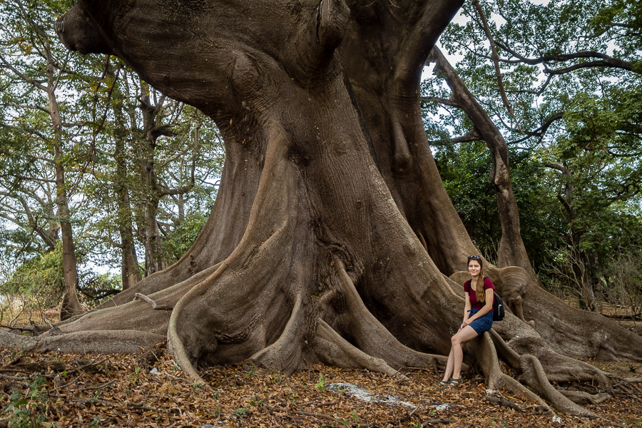 Kliknij obrazek, aby uzyskać większą wersję

Nazwa:	PC231743.JPG
Wyświetleń:	2128
Rozmiar:	801,6 KB
ID:	165340