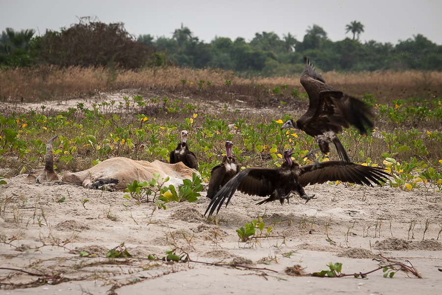 Kliknij obrazek, aby uzyskać większą wersję

Nazwa:	PC237773.JPG
Wyświetleń:	221
Rozmiar:	624,5 KB
ID:	165404