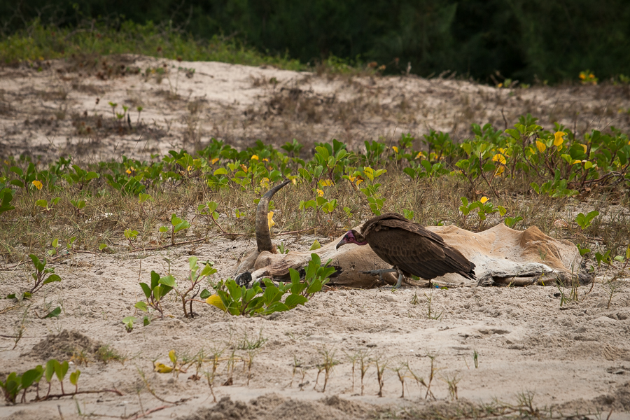 Kliknij obrazek, aby uzyskać większą wersję

Nazwa:	PC237785.JPG
Wyświetleń:	224
Rozmiar:	624,9 KB
ID:	165406