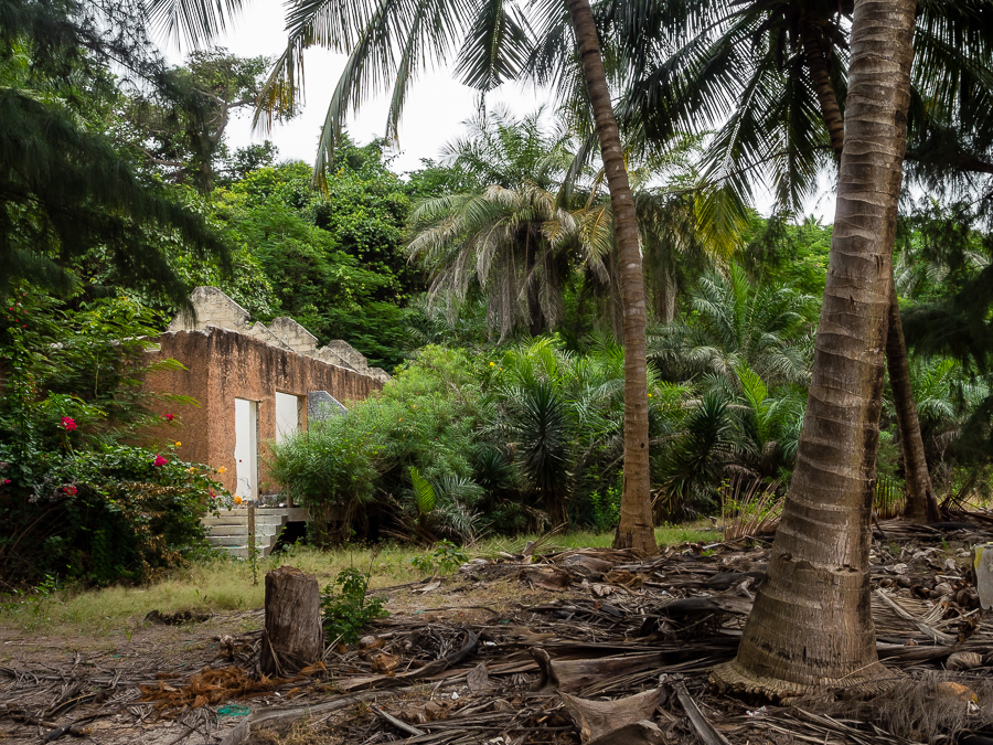 Kliknij obrazek, aby uzyskać większą wersję

Nazwa:	PC241788.JPG
Wyświetleń:	230
Rozmiar:	870,2 KB
ID:	165408