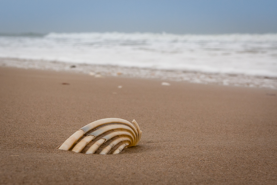 Kliknij obrazek, aby uzyskać większą wersję

Nazwa:	PC241777.JPG
Wyświetleń:	225
Rozmiar:	364,2 KB
ID:	165416