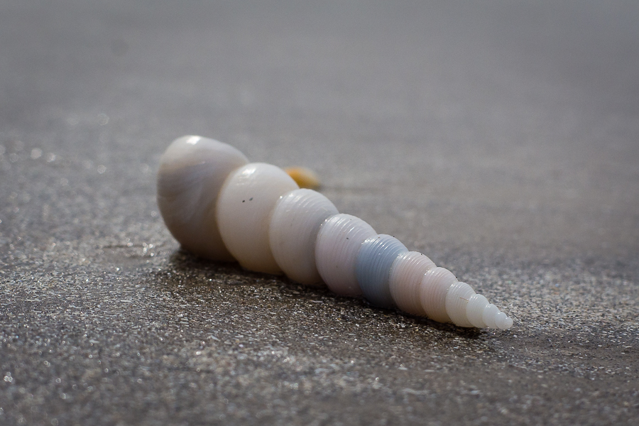 Kliknij obrazek, aby uzyskać większą wersję

Nazwa:	PC241810.JPG
Wyświetleń:	223
Rozmiar:	391,1 KB
ID:	165417