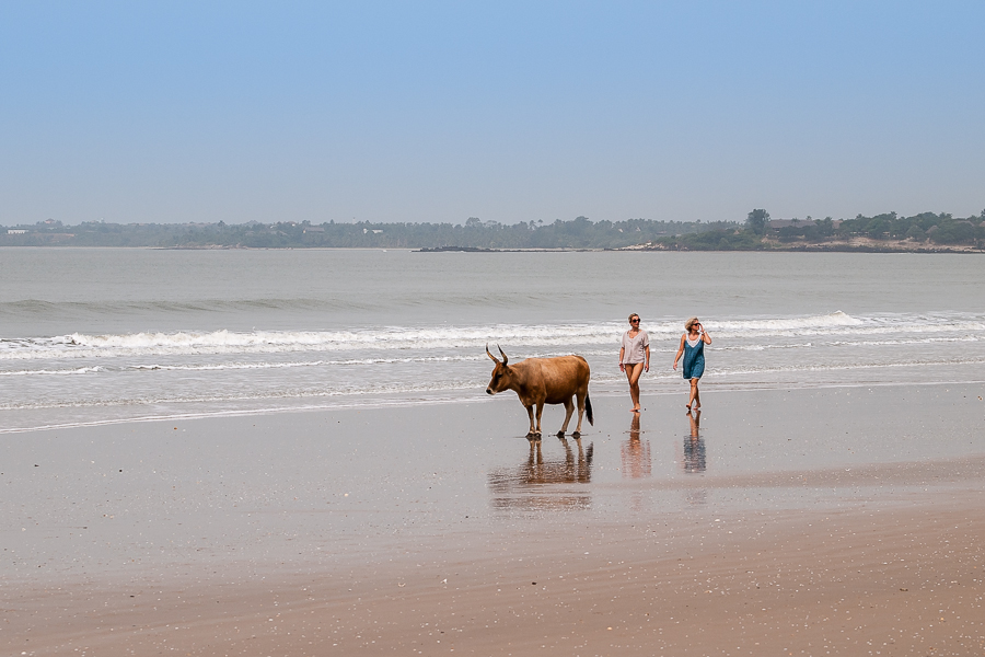 Kliknij obrazek, aby uzyskać większą wersję

Nazwa:	PC247936.JPG
Wyświetleń:	216
Rozmiar:	343,0 KB
ID:	165422