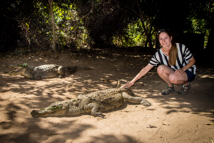 Kliknij obrazek, aby uzyskać większą wersję

Nazwa:	P1012408.JPG
Wyświetleń:	143
Rozmiar:	636,6 KB
ID:	165464