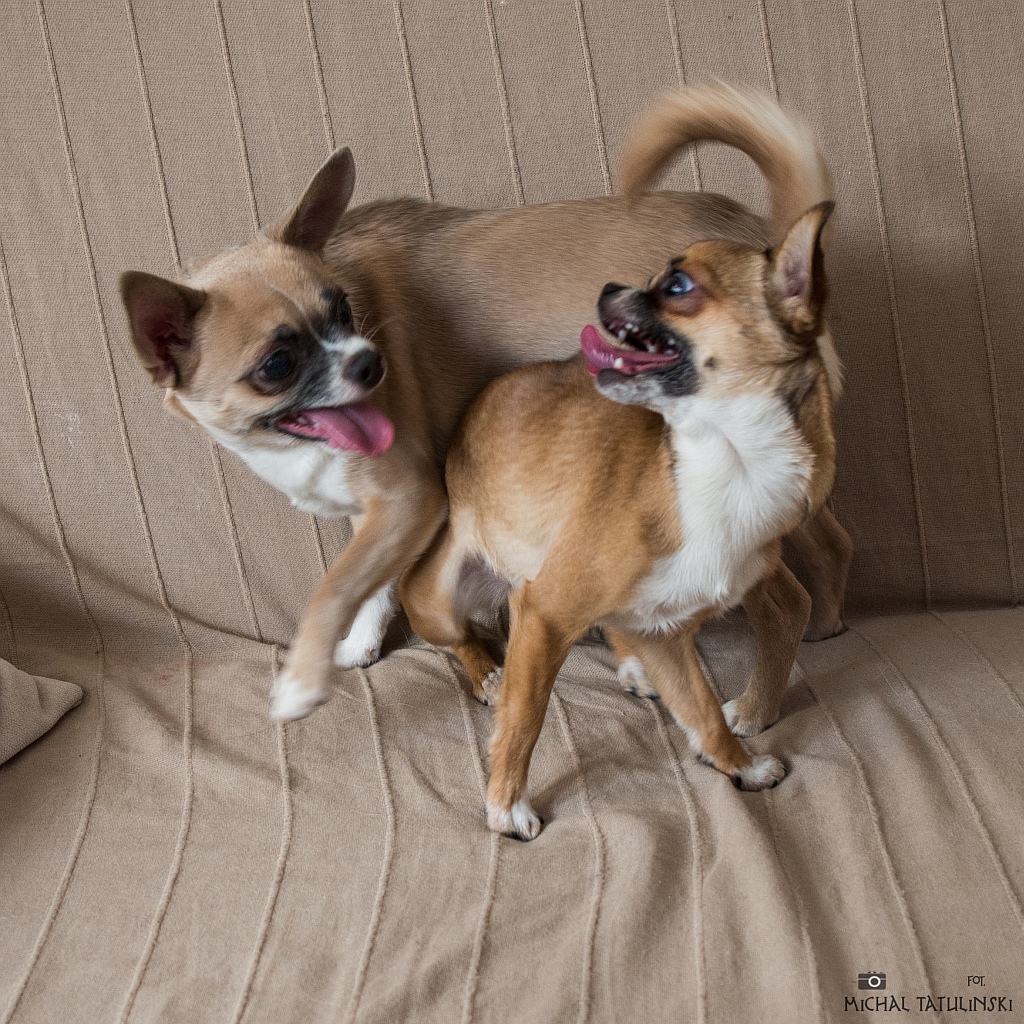 Nazwa:  P1176978.jpg
Wyświetleń: 165
Rozmiar:  570,6 KB