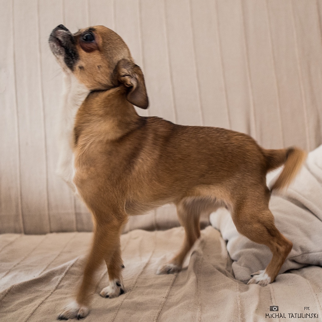 Nazwa:  P1176827.jpg
Wyświetleń: 155
Rozmiar:  490,7 KB