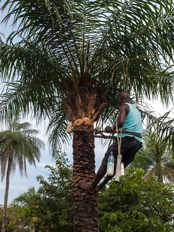 Kliknij obrazek, aby uzyskać większą wersję

Nazwa:	PC233013.JPG
Wyświetleń:	255
Rozmiar:	931,3 KB
ID:	165488