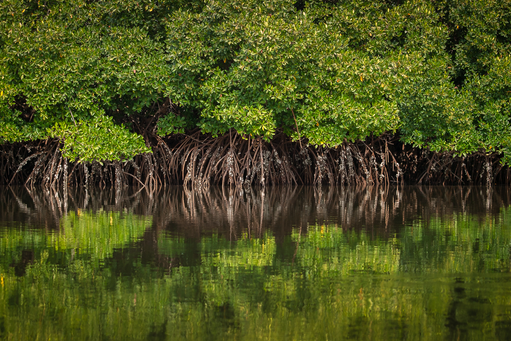 Kliknij obrazek, aby uzyskać większą wersję

Nazwa:	PC237812.JPG
Wyświetleń:	275
Rozmiar:	1.007,2 KB
ID:	165490