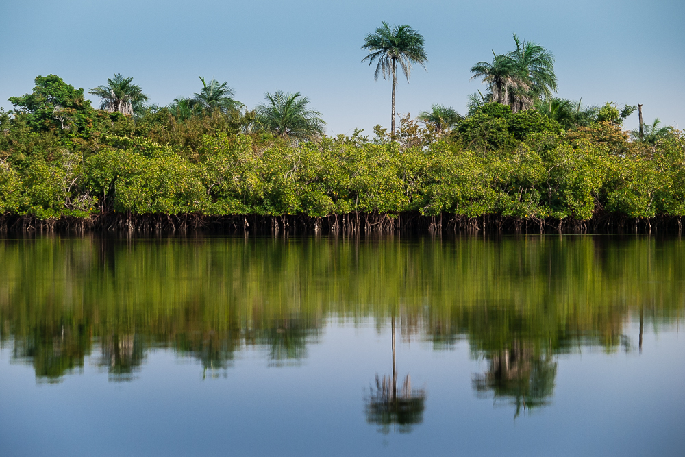 Kliknij obrazek, aby uzyskać większą wersję

Nazwa:	PC237818.JPG
Wyświetleń:	252
Rozmiar:	665,1 KB
ID:	165491
