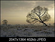 Kliknij obrazek, aby uzyskać większą wersję

Nazwa:	19012016_KK195051.1.1.jpg
Wyświetleń:	138
Rozmiar:	402,2 KB
ID:	165612