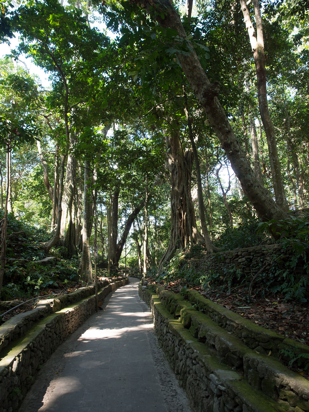 Kliknij obrazek, aby uzyskać większą wersję

Nazwa:	PA101464min.jpg
Wyświetleń:	211
Rozmiar:	677,2 KB
ID:	165734