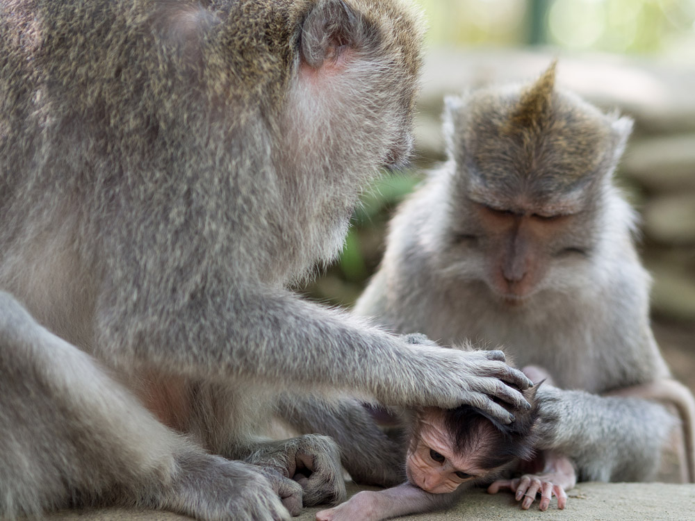 Kliknij obrazek, aby uzyskać większą wersję

Nazwa:	RA106003min.jpg
Wyświetleń:	210
Rozmiar:	214,3 KB
ID:	165735