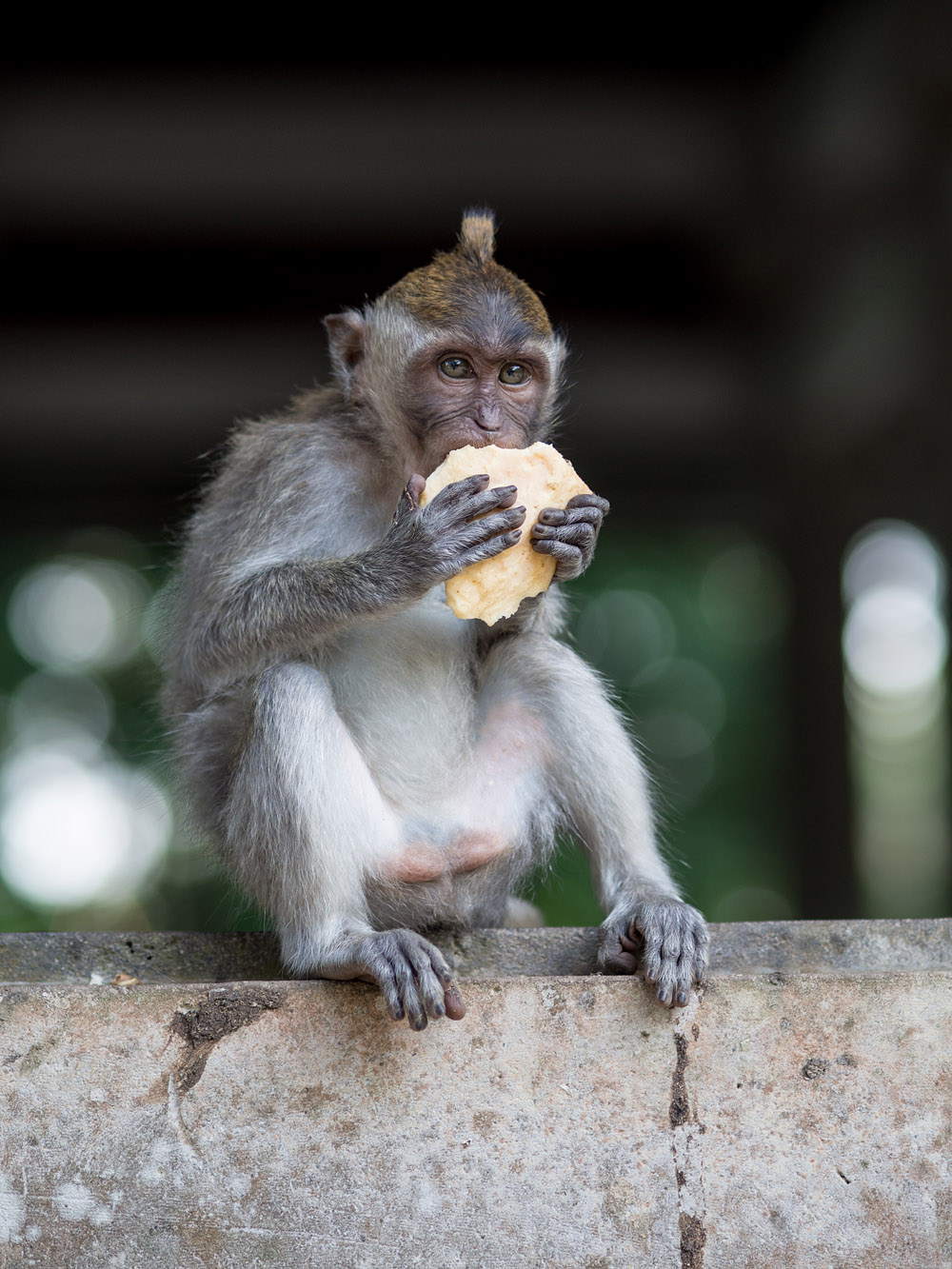 Kliknij obrazek, aby uzyskać większą wersję

Nazwa:	RA106028min.jpg
Wyświetleń:	201
Rozmiar:	288,7 KB
ID:	165741