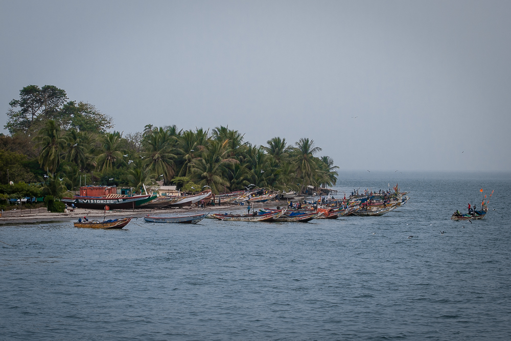 Kliknij obrazek, aby uzyskać większą wersję

Nazwa:	PC267996.JPG
Wyświetleń:	203
Rozmiar:	510,6 KB
ID:	165795