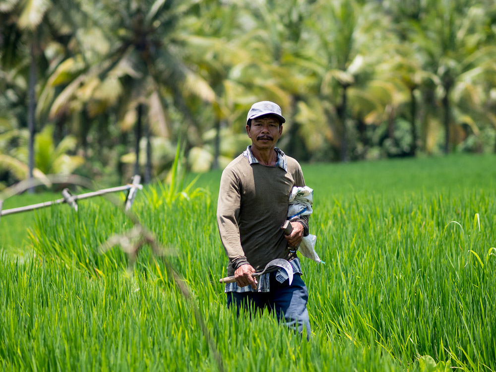 Kliknij obrazek, aby uzyskać większą wersję

Nazwa:	RA106072min.jpg
Wyświetleń:	187
Rozmiar:	287,1 KB
ID:	165820