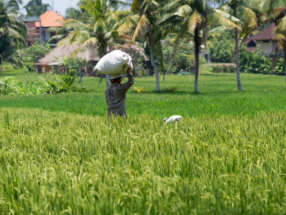 Kliknij obrazek, aby uzyskać większą wersję

Nazwa:	RA106081min.jpg
Wyświetleń:	168
Rozmiar:	321,4 KB
ID:	165823