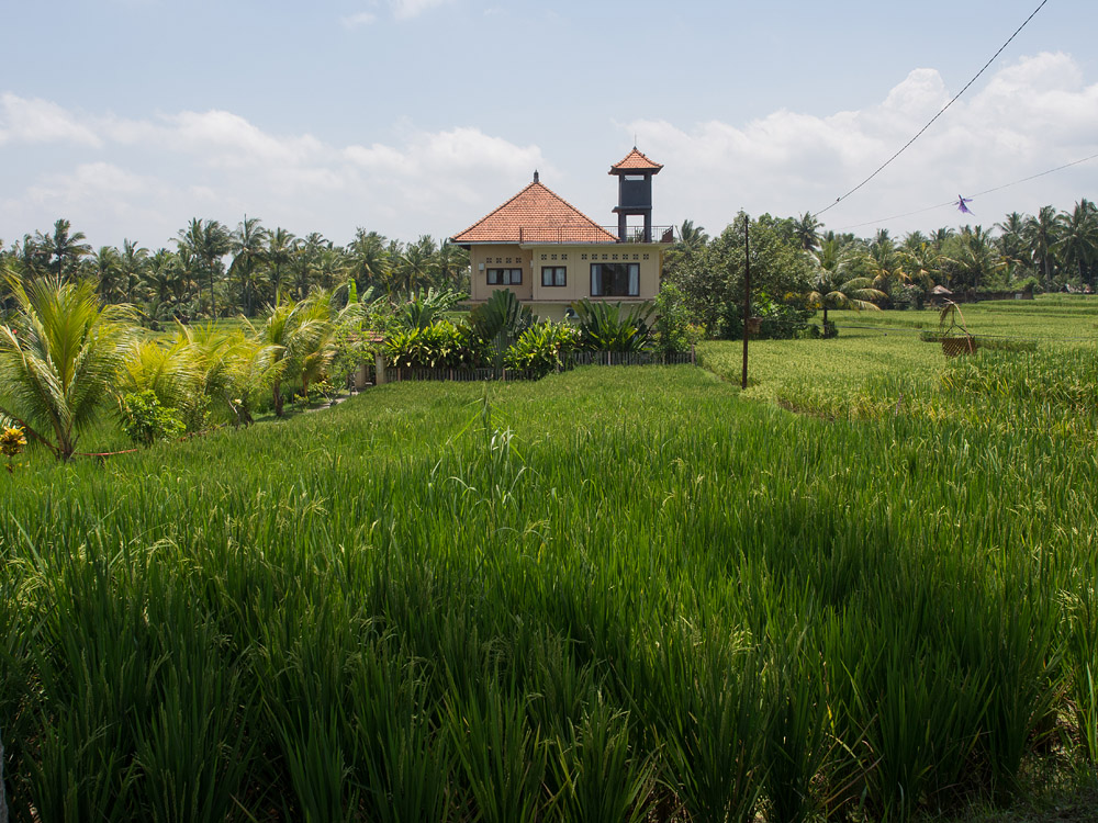 Kliknij obrazek, aby uzyskać większą wersję

Nazwa:	PA101551min.jpg
Wyświetleń:	173
Rozmiar:	321,1 KB
ID:	165825