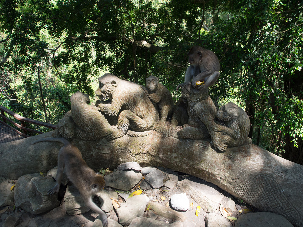 Kliknij obrazek, aby uzyskać większą wersję

Nazwa:	PA101482min.jpg
Wyświetleń:	165
Rozmiar:	455,7 KB
ID:	165826