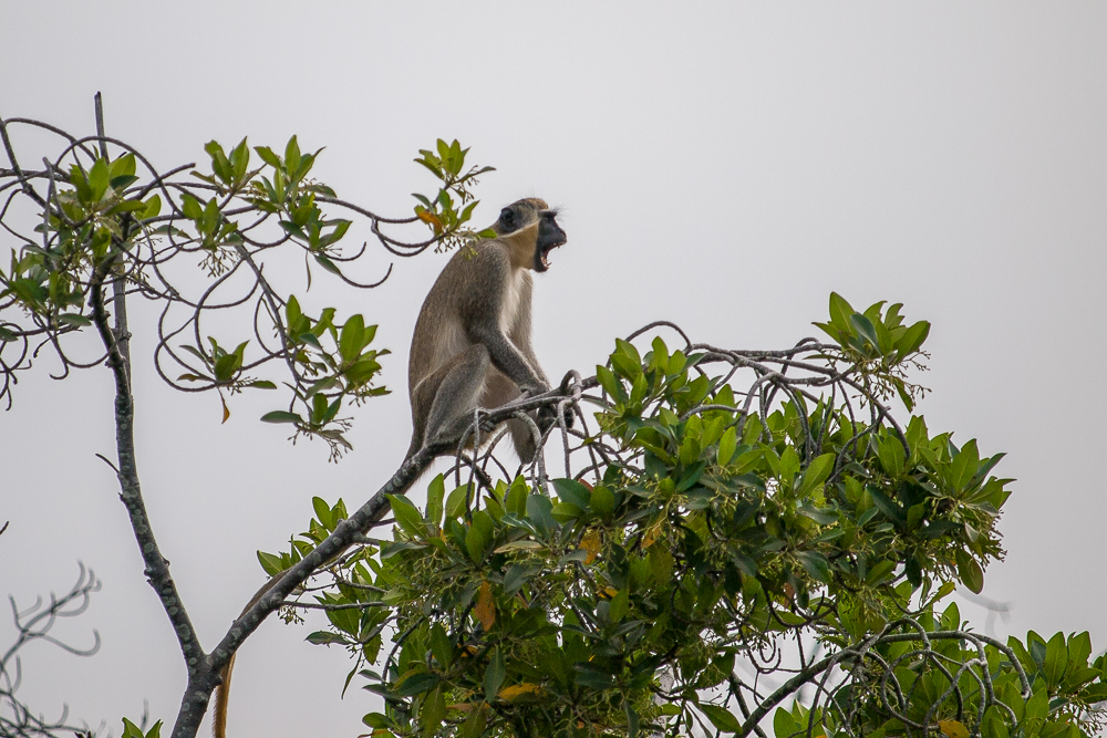 Kliknij obrazek, aby uzyskać większą wersję

Nazwa:	PC268026.JPG
Wyświetleń:	182
Rozmiar:	596,5 KB
ID:	165890