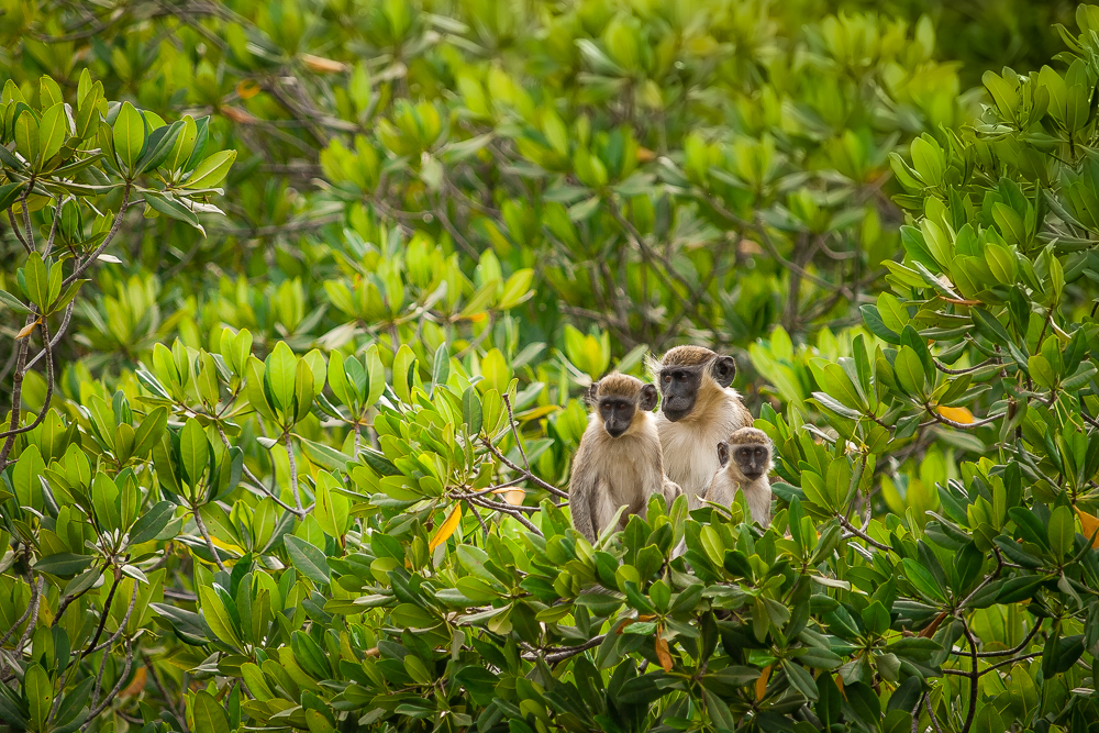 Kliknij obrazek, aby uzyskać większą wersję

Nazwa:	PC268039.JPG
Wyświetleń:	188
Rozmiar:	901,3 KB
ID:	165891