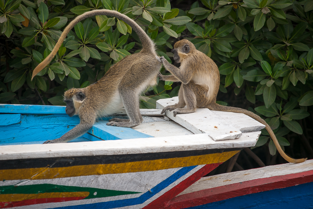 Kliknij obrazek, aby uzyskać większą wersję

Nazwa:	PC268066.JPG
Wyświetleń:	170
Rozmiar:	659,1 KB
ID:	165892