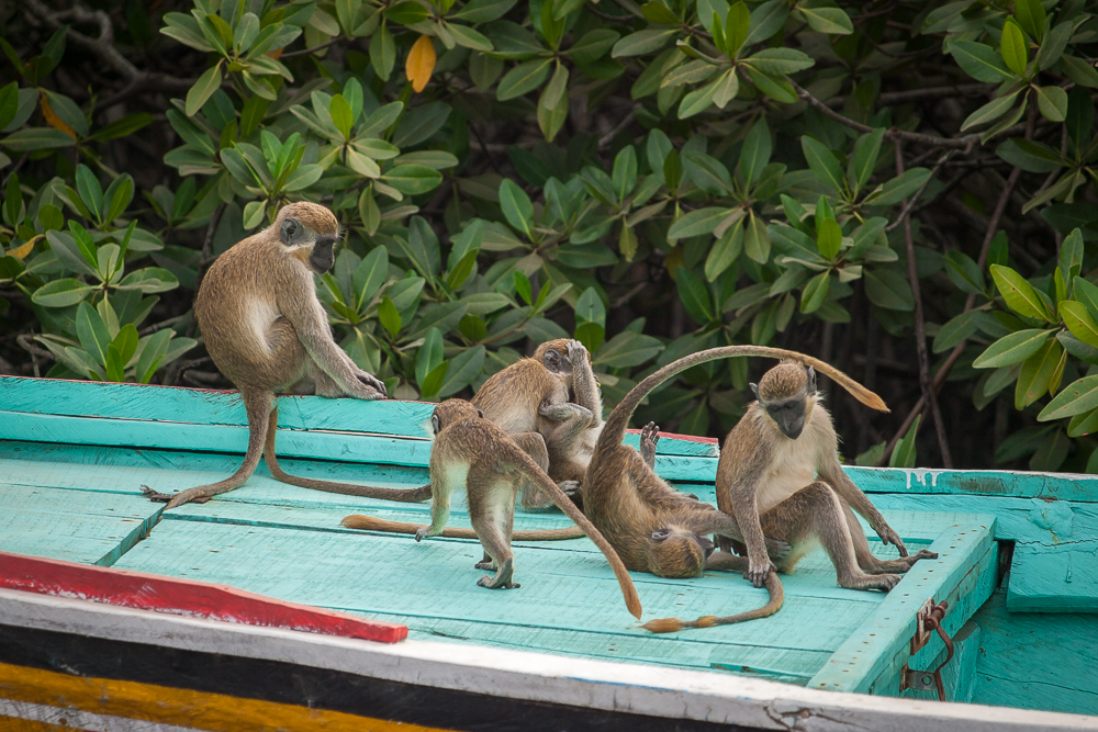 Kliknij obrazek, aby uzyskać większą wersję

Nazwa:	PC268078.JPG
Wyświetleń:	181
Rozmiar:	665,1 KB
ID:	165893
