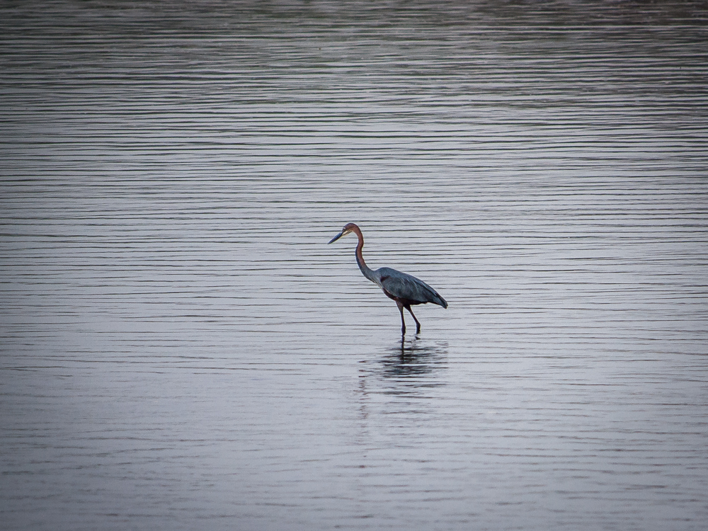 Kliknij obrazek, aby uzyskać większą wersję

Nazwa:	PC268093.JPG
Wyświetleń:	172
Rozmiar:	642,8 KB
ID:	165894