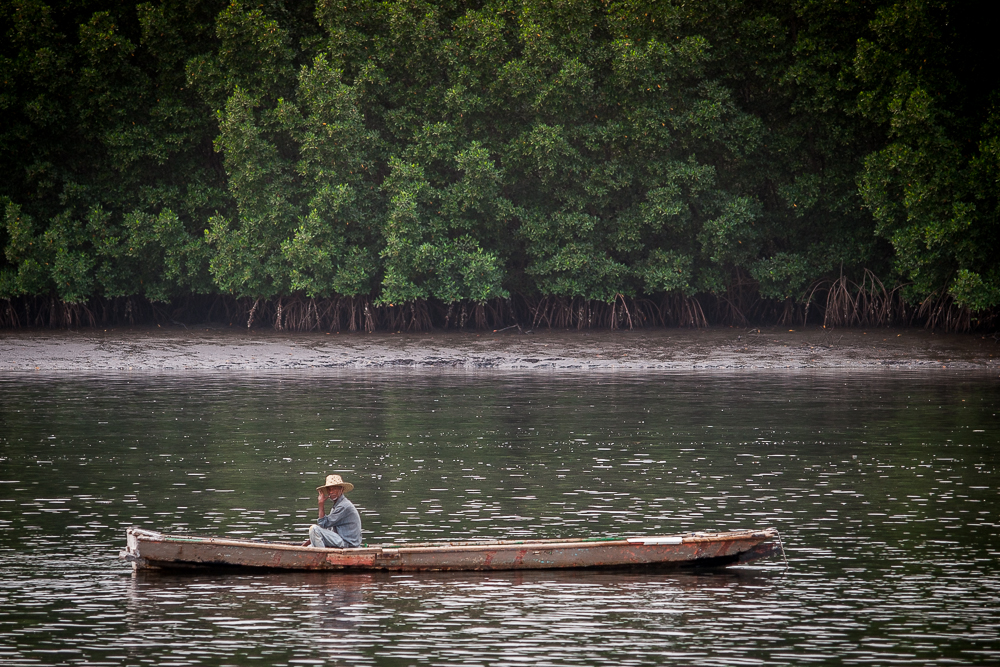 Kliknij obrazek, aby uzyskać większą wersję

Nazwa:	PC268094.JPG
Wyświetleń:	176
Rozmiar:	763,0 KB
ID:	165895
