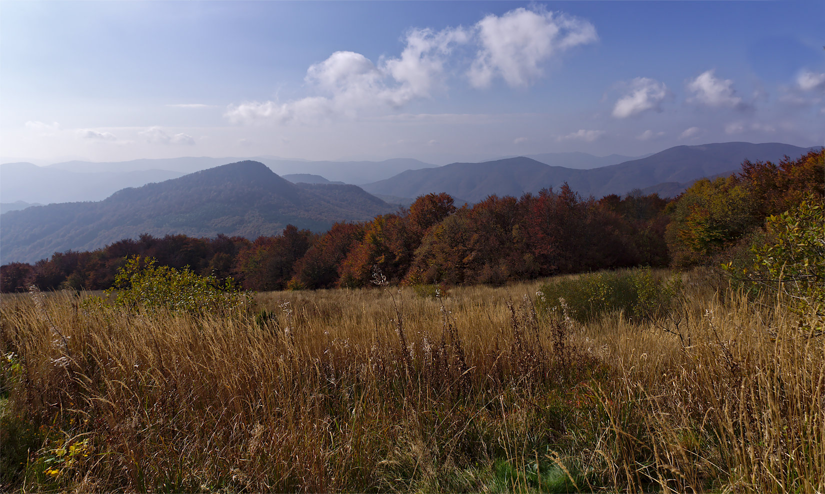 Kliknij obrazek, aby uzyskać większą wersję

Nazwa:	PA110109-10.jpg
Wyświetleń:	176
Rozmiar:	542,1 KB
ID:	166006