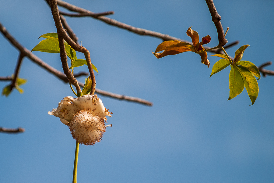 Kliknij obrazek, aby uzyskać większą wersję

Nazwa:	PC217614.JPG
Wyświetleń:	229
Rozmiar:	414,0 KB
ID:	166027