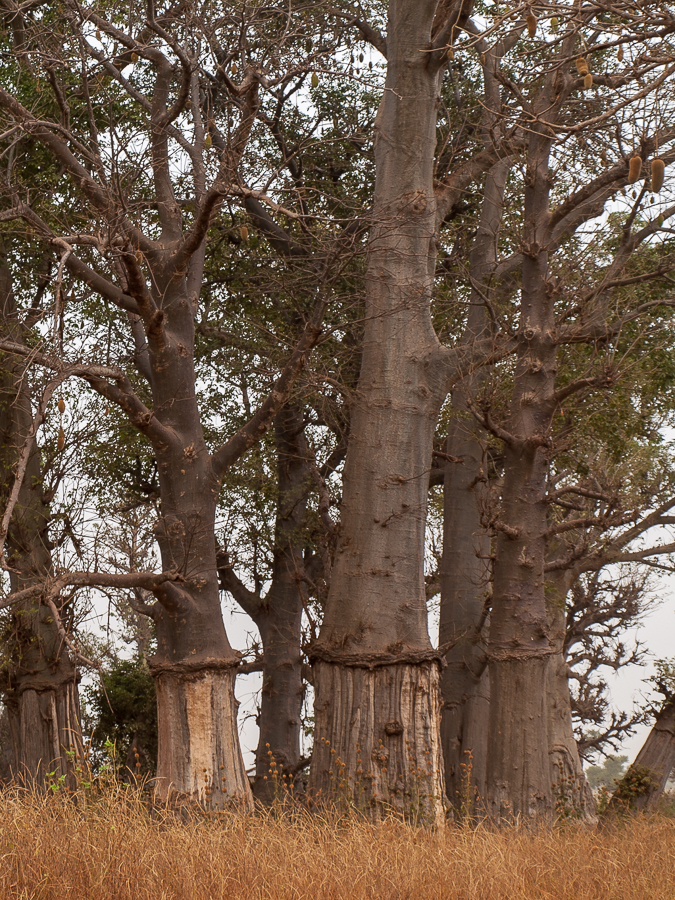 Kliknij obrazek, aby uzyskać większą wersję

Nazwa:	PC273096.JPG
Wyświetleń:	226
Rozmiar:	892,0 KB
ID:	166028