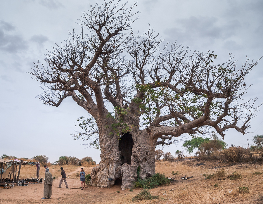Kliknij obrazek, aby uzyskać większą wersję

Nazwa:	PC278129.JPG
Wyświetleń:	239
Rozmiar:	739,9 KB
ID:	166029
