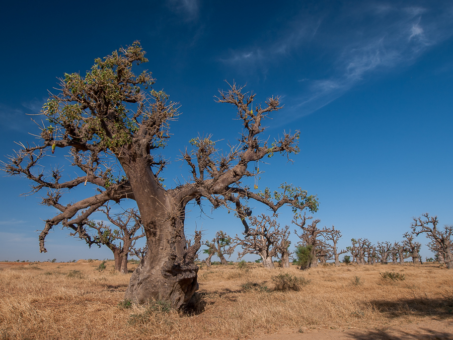 Kliknij obrazek, aby uzyskać większą wersję

Nazwa:	PC298510.JPG
Wyświetleń:	212
Rozmiar:	682,7 KB
ID:	166030
