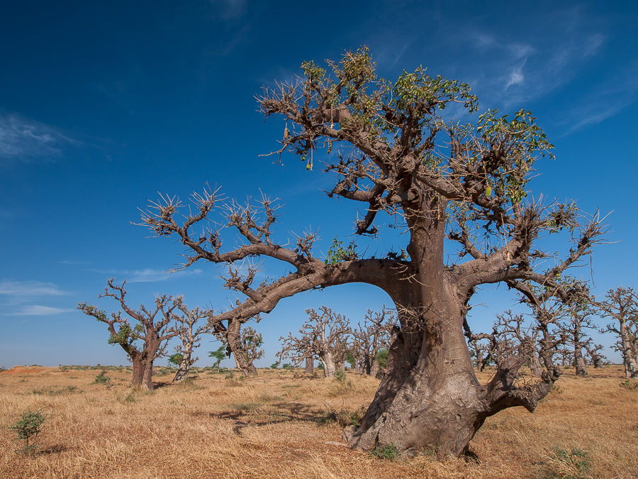 Kliknij obrazek, aby uzyskać większą wersję

Nazwa:	PC298513.JPG
Wyświetleń:	213
Rozmiar:	736,3 KB
ID:	166031