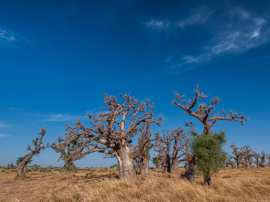 Kliknij obrazek, aby uzyskać większą wersję

Nazwa:	PC298515.JPG
Wyświetleń:	216
Rozmiar:	578,9 KB
ID:	166032